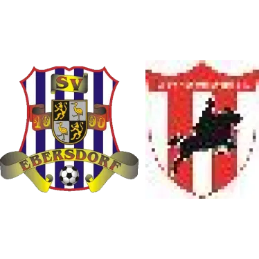(D) SV 1990 Ebersdorf <span class="nowrap bold mx-1">1 : 1</span> SV 08 Rothenstein