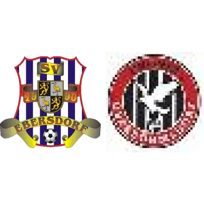 (1M) SV 1990 Ebersdorf <span class="nowrap bold mx-1">7 : 2</span> VFR Phönix