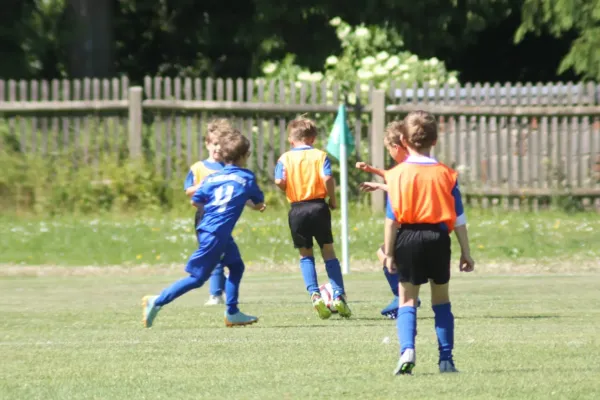 3-Länder-Turnier der F Junioren