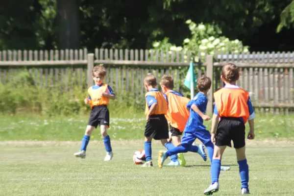 3-Länder-Turnier der F Junioren