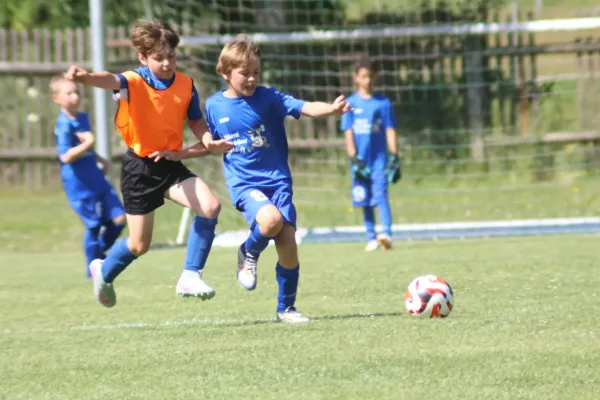 3-Länder-Turnier der F Junioren