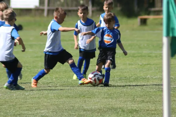 3-Länder-Turnier der F Junioren