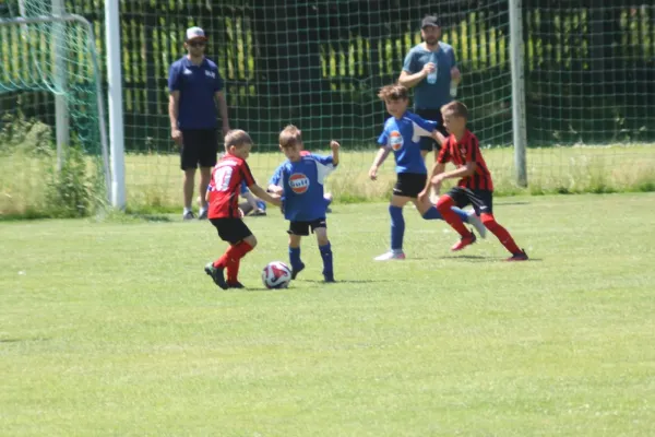 3-Länder-Turnier der F Junioren