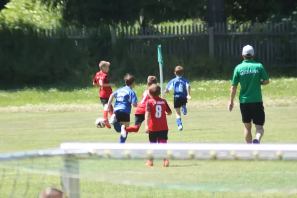 3-Länder-Turnier der F Junioren