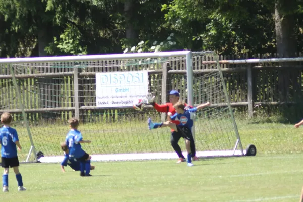 3-Länder-Turnier der F Junioren
