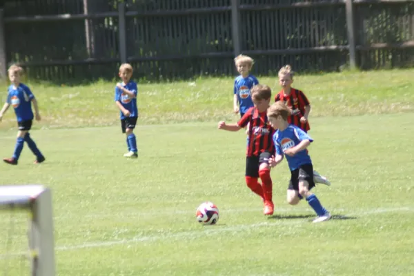 3-Länder-Turnier der F Junioren