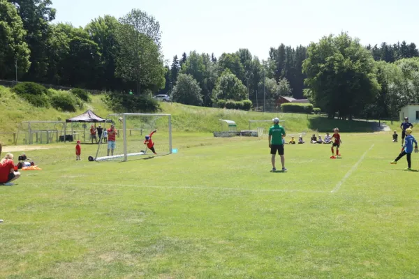 3-Länder-Turnier der F Junioren