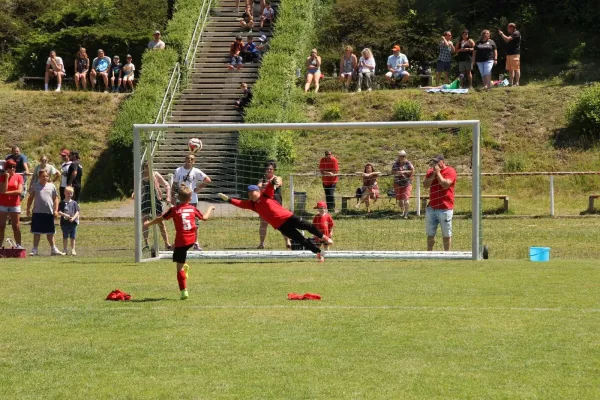 3-Länder-Turnier der F Junioren