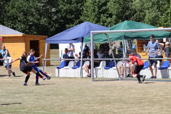 Vereinsfest 20 Jahre neuer Sportplatz