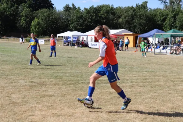 Vereinsfest 20 Jahre neuer Sportplatz