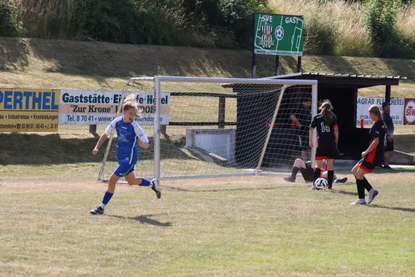 Vereinsfest 20 Jahre neuer Sportplatz