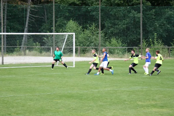 Testspiel SV Ebersdorf- BSC Frankfurt/Main