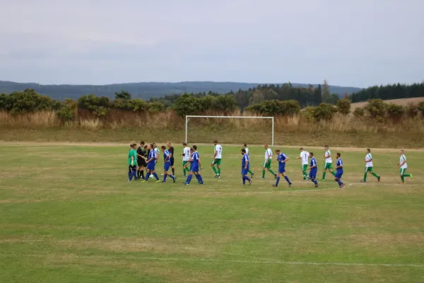 SV 1990 - FC Chemie Triptis