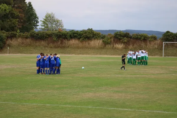 SV 1990 - FC Chemie Triptis