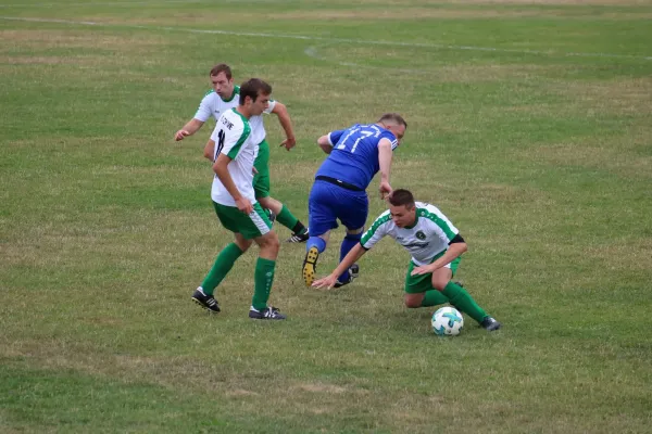 SV 1990 - FC Chemie Triptis