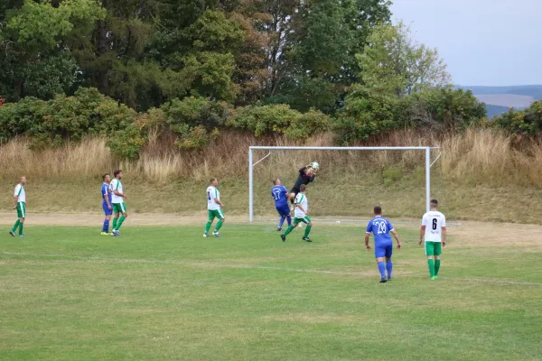 SV 1990 - FC Chemie Triptis