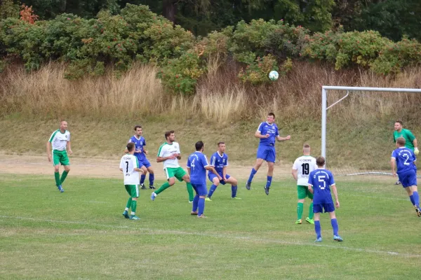 SV 1990 - FC Chemie Triptis