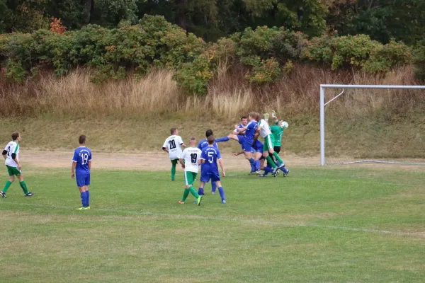 SV 1990 - FC Chemie Triptis