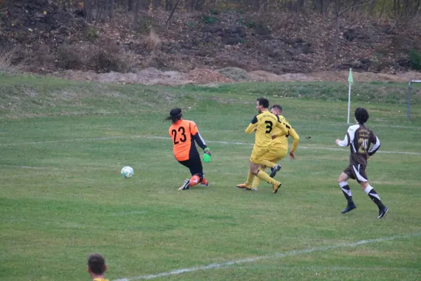 SVE- SV Blau-weiß Neustadt II