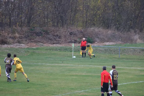 SVE- SV Blau-weiß Neustadt II