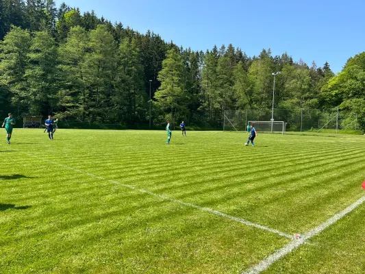 27.05.2023 SV Crispendorf vs. SV 1990 Ebersdorf