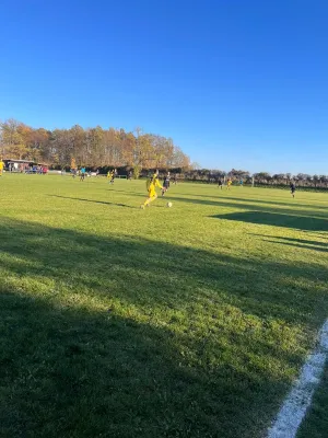 06.11.2022 SV 1990 Ebersdorf vs. SV Crispendorf