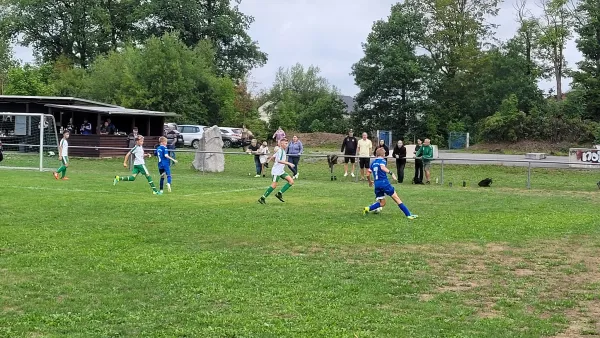 28.08.2022 SV 1990 Ebersdorf vs. FC Chemie Triptis