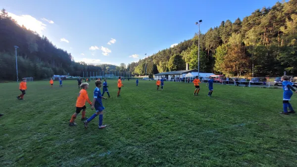 16.09.2022 VFR Bad Lobenstein II vs. SV 1990 Ebersdorf