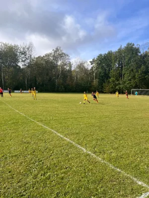 08.10.2023 TSG Zwackau vs. SV 1990 Ebersdorf