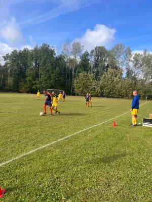 08.10.2023 TSG Zwackau vs. SV 1990 Ebersdorf