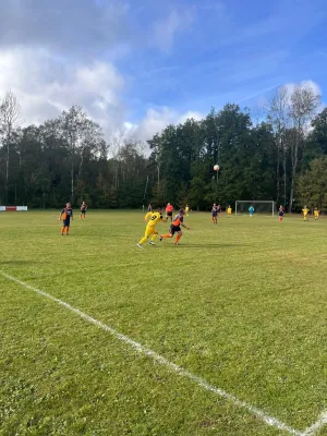 08.10.2023 TSG Zwackau vs. SV 1990 Ebersdorf