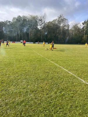 08.10.2023 TSG Zwackau vs. SV 1990 Ebersdorf