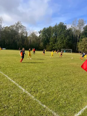 08.10.2023 TSG Zwackau vs. SV 1990 Ebersdorf