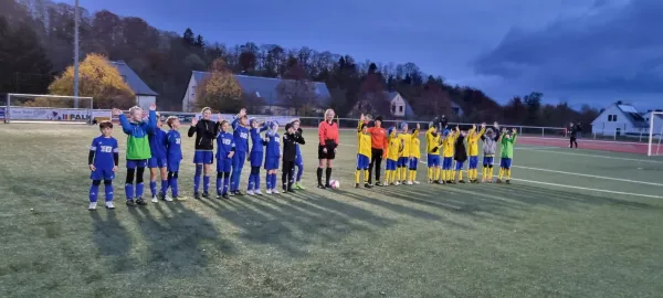 03.11.2023 VFR Bad Lobenstein II vs. SV 1990 Ebersdorf II