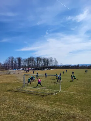 22.03.2025 SV 1990 Ebersdorf vs. FV Rodatal Zöllnitz