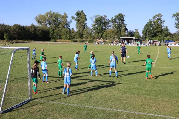 27.08.2024 SV 1990 Ebersdorf (Ew) vs. SV Moßbach