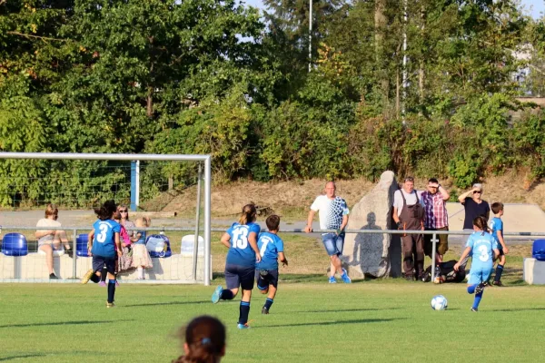 06.09.2024 SV 1990 Ebersdorf (Ew) vs. VFR Bad Lobenstein II