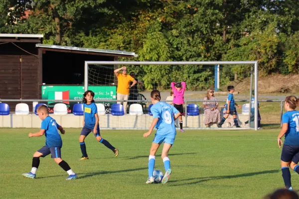06.09.2024 SV 1990 Ebersdorf (Ew) vs. VFR Bad Lobenstein II