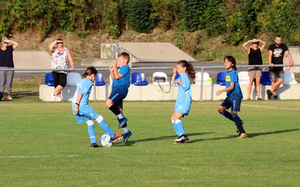 06.09.2024 SV 1990 Ebersdorf (Ew) vs. VFR Bad Lobenstein II