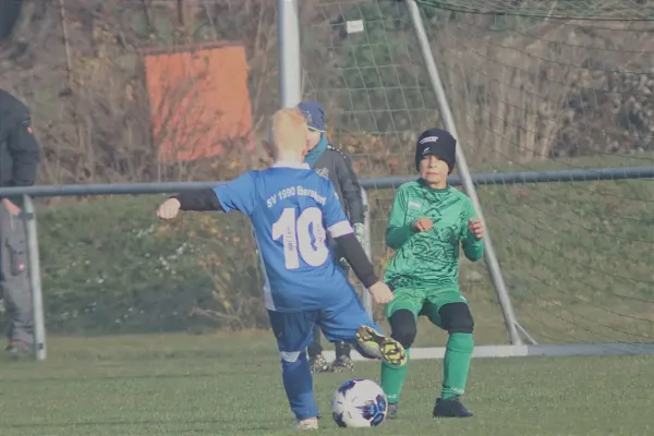 10.11.2024 SV 1990 Ebersdorf II vs. SV Moßbach