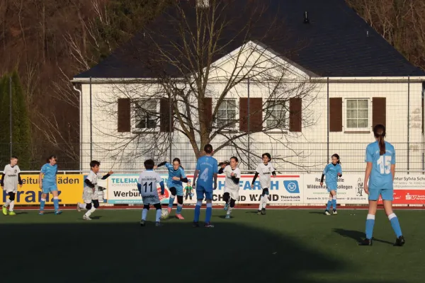 25.03.2025 VFR Bad Lobenstein II vs. SV 1990 Ebersdorf (Ew)
