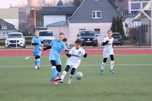25.03.2025 VFR Bad Lobenstein II vs. SV 1990 Ebersdorf (Ew)
