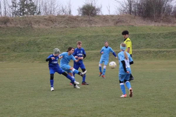 29.03.2025 SV 1990 Ebersdorf (Ew) vs. TSV Gahma