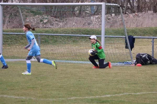 29.03.2025 SV 1990 Ebersdorf (Ew) vs. TSV Gahma