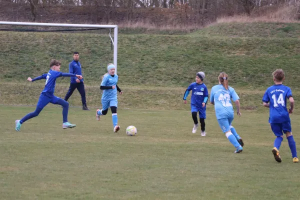 29.03.2025 SV 1990 Ebersdorf (Ew) vs. TSV Gahma