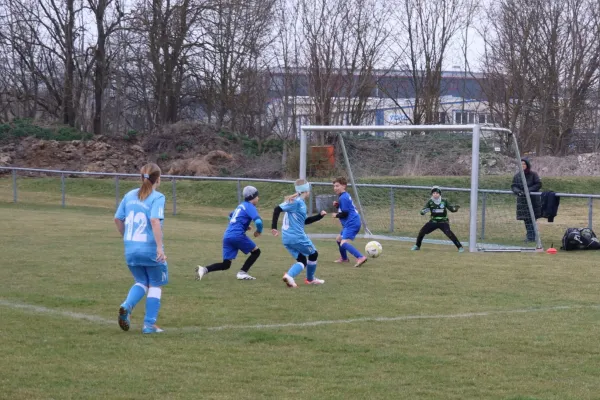 29.03.2025 SV 1990 Ebersdorf (Ew) vs. TSV Gahma