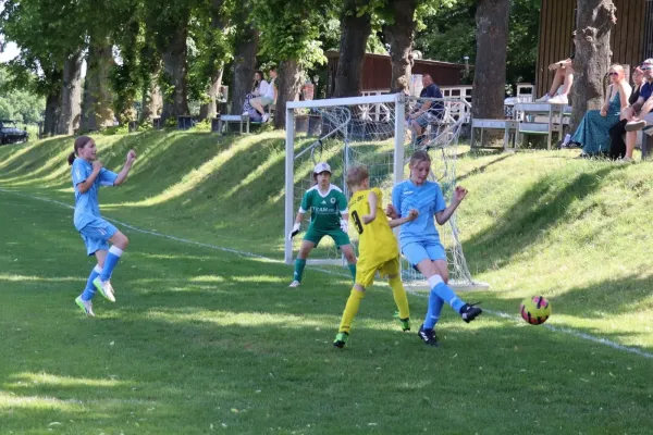 14.06.2025 JFC Saale-Orla IV vs. SV 1990 Ebersdorf (Ew)