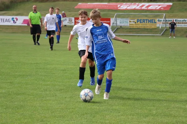 01.09.2024 SV 1990 Ebersdorf vs. FV Bad