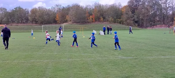 11.10.2024 SV 1990 Ebersdorf vs. SV BW Neustadt
