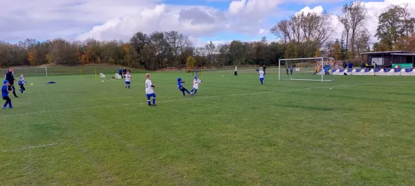 11.10.2024 SV 1990 Ebersdorf vs. SV BW Neustadt